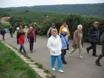 2008_09_17 Hessigheim, Felsengärten