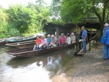 2012_07_11 Rust, Naturschutzgebiet Taubergießen