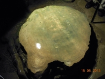 2013_05_15 In der Nebelhöhle