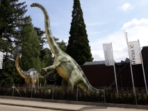 2019_05_07 Holzmaden, Besuch im Urweltmuseum Hauff