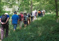 20250514 Wanderung in Illingen - Anstieg