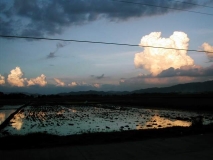 20031125_01