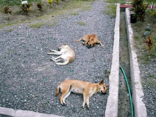 20031206_06