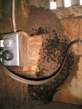 20031218-10